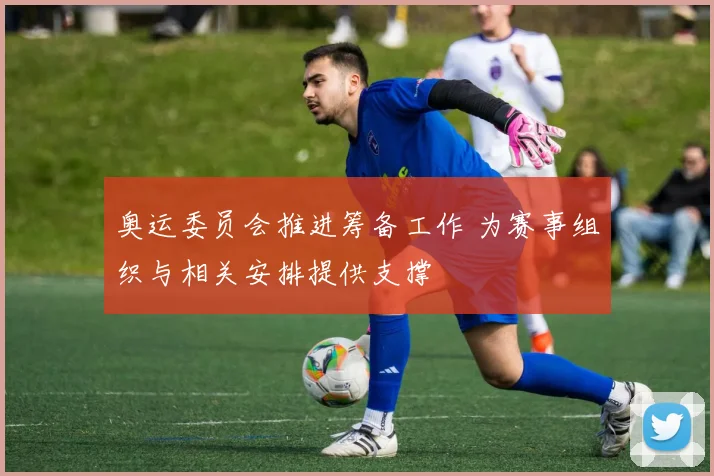 奥运委员会推进筹备工作 为赛事组织与相关安排提供支撑