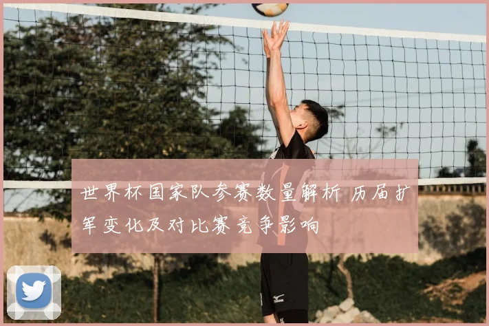 世界杯国家队参赛数量解析 历届扩军变化及对比赛竞争影响